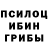 Псилоцибиновые грибы Cubensis Arseniy Grusha