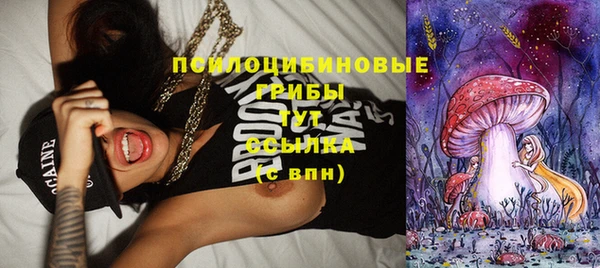 MDMA Premium VHQ Аркадак